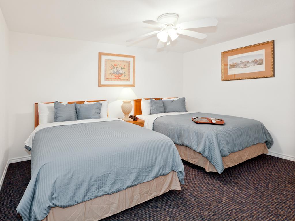 Hempstead Country Inn & Suites Room photo